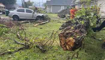 Tree Removal for Ross Family Tree Service LLC  in Hohenwald, TN