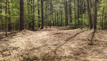 Land Clearing for 5 Star Land Management in Beech Bluff, TN