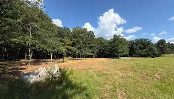 Land Clearing for Mud Creek Vegetation Management in Russellville, AL