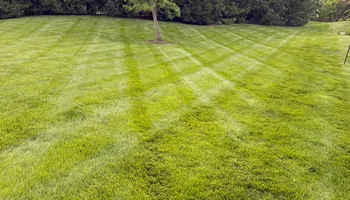 Lawn Care and Maintenance for Sneed & Co LLC in Kokomo, IN