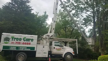 Tree Removal for W D Giampa Lawns and Landscape Inc. in Independent Hill, VA