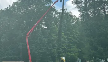 Tree Removal for SMITHs Tree Service in Columbus, IN