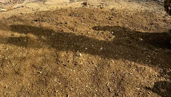 Stump Removal for Mad Dust Stump Grinding in Howard County, MD