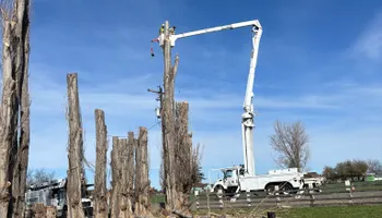 Tree Removal for Ascension Tree Care LLC in Yakima County, WA