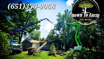 Tree Removal for Down To Earth Tree Service in Red Wing, MN