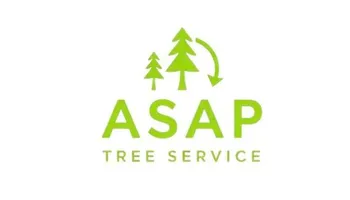 Tree Removal for ASAP Tree Service in Sebastian, FL
