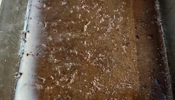 Residential Cleaning for A+ Cleaning and Services LLC in Deep Creek Lake, MD 