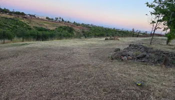 Lot Clearing for Gregg Yard Maintenance in Paradise, CA