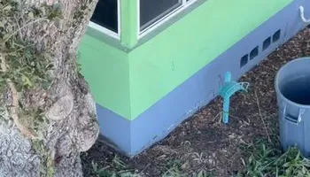 Tree Removal for Ryker's Tree Service in Dunedin, FL