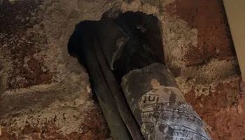 Residential Wildlife Control for Topper's Wildlife Removal in Garland, TX