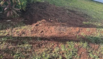 Stump Grinding for Busy Beaver Stump Removal, Inc in Clearwater, FL