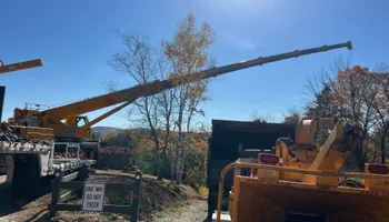 Tree Removal for Abair Tree Service in Weare, NH