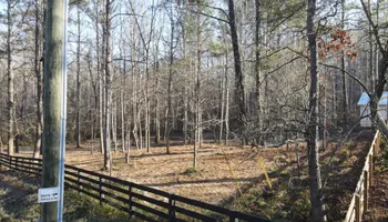 Land Clearing & Demolition for Grading & Clearing Services in Dawsonville, GA