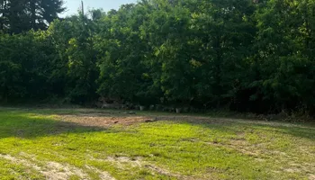 Tree Removal for Etherton’s Tree Service in Quinton, NJ