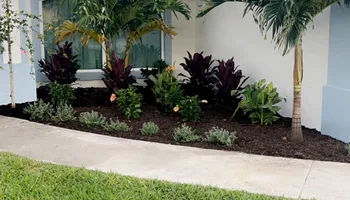 Fall and Spring Clean Up for Estrada All Pro Lawn Service in Auburndale, Florida