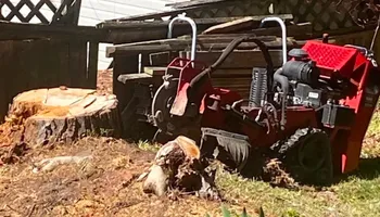 Stump Grinding for Anchor & Grind Stump in Chesapeake, VA