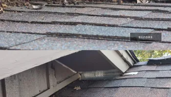 Residential Wildlife Control for Topper's Wildlife Removal in Garland, TX