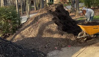 Tree Removal for Oakhurst Landscaping and Tree Service in Charlotte, NC