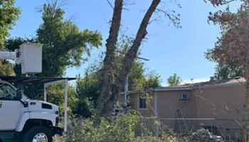 Tree Removal for Lalo's Tree Service in Willows, CA