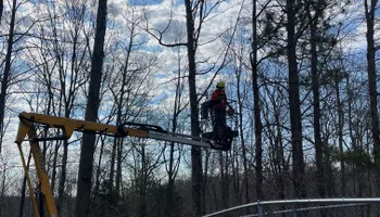 Tree Removal for Ross Family Tree Service LLC  in Hohenwald, TN