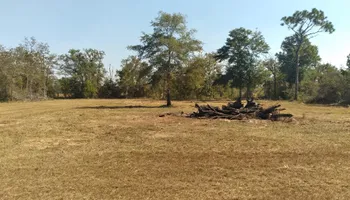 Lawn Mowing for Landrum’s Lawn & Tractor Services in Blountstown, FL