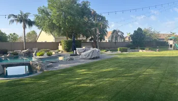 Shrub Trimming for Revolution Landscape Construction in Mesa, AZ