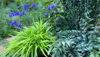 Erosion Control / Water Management for Christina King Landscape Design in West Raleigh, NC