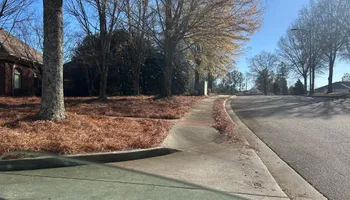 Pinestraw for BAM Another Pinestraw Lot in Flowery Branch, GA