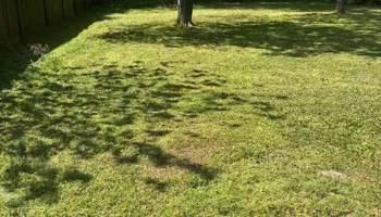 Mowing for Sparks Landscaping in Augusta, GA