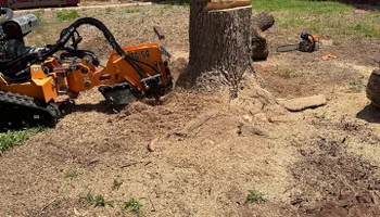 Tree Removal for Compas Cleanup in McCamey, TX