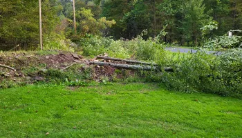 Tree Removal for Fowler's Tree Service LLC. in New Albany, PA