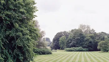 Fall and Spring Clean Up for RR Tree Service & Lawn Care LLC in Baraboo,  WI