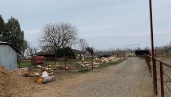 Tree Removal for Lalo's Tree Service in Willows, CA