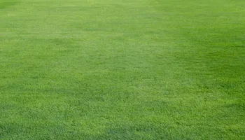 Lawn Mowing for 4 Points Lawncare LLC in Hayes, VA