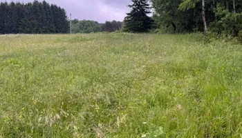 Mowing for Harpers Landscaping in Fredonia, NY