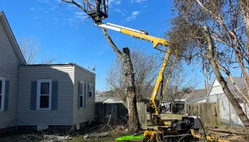 Tree Removal for Ross Family Tree Service LLC  in Hohenwald, TN