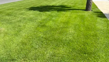 Sod Installation for Roberts Lawn & Landscape in Steinhatchee, FL