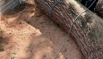 Tree Removal for Hawkins Tree Service & Land Management in Richmond Hill, GA