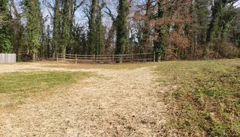 Tree Removal for Rush Tree Specialist in Knoxville, TN