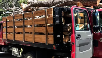 Tree Removal for Thompson Tree Climbers, LLC in Lexington, SC