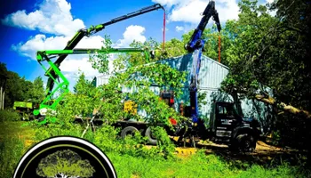 Tree Removal for Down To Earth Tree Service in Red Wing, MN
