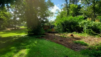 Tree Removal for Puckett's Tree Service in Decatur County, TN