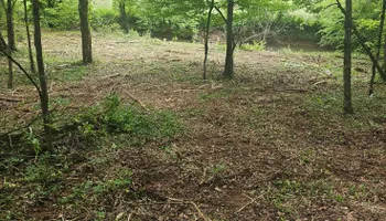 Land Clearing & Demolition for Whaley Land Development in Athens, TN
