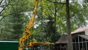 Tree Removal for Down To Earth Tree Service, LLC in Westlake, OH
