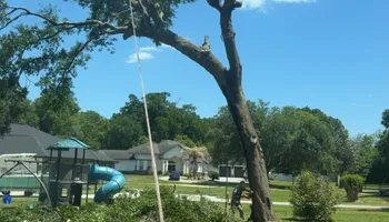 Tree Pruning and Trimming for All Around Guys Tree Service in Ocala, FL