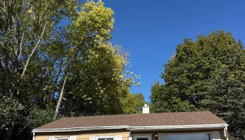 Tree Removal for Fransen's Tree Service  in Freeport, IL