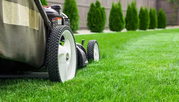 Lawn Care for Pro-Care LLC in Hudson, WI