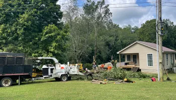 Tree Removal for Ross Family Tree Service LLC  in Hohenwald, TN