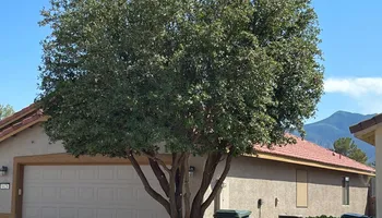 Tree Removal for A to Z Grounds Keeping in Sierra Vista, AZ