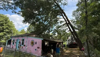 Land Clearing for Mud Creek Vegetation Management in Russellville, AL